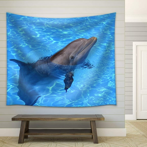 6x6 Multicolor Caroline's Treasures BB7120DS66 Dolphin Wall or Door Hanging Prints 6x6 Multicolor Caroline's Treasures BB7120DS66 Dolphin Wall or Door Hanging Prints